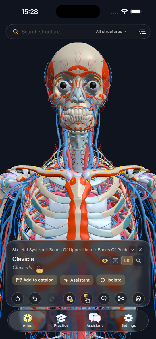 iPhone Atlas with clavicle selected, Latin pronunciation, and structure tools