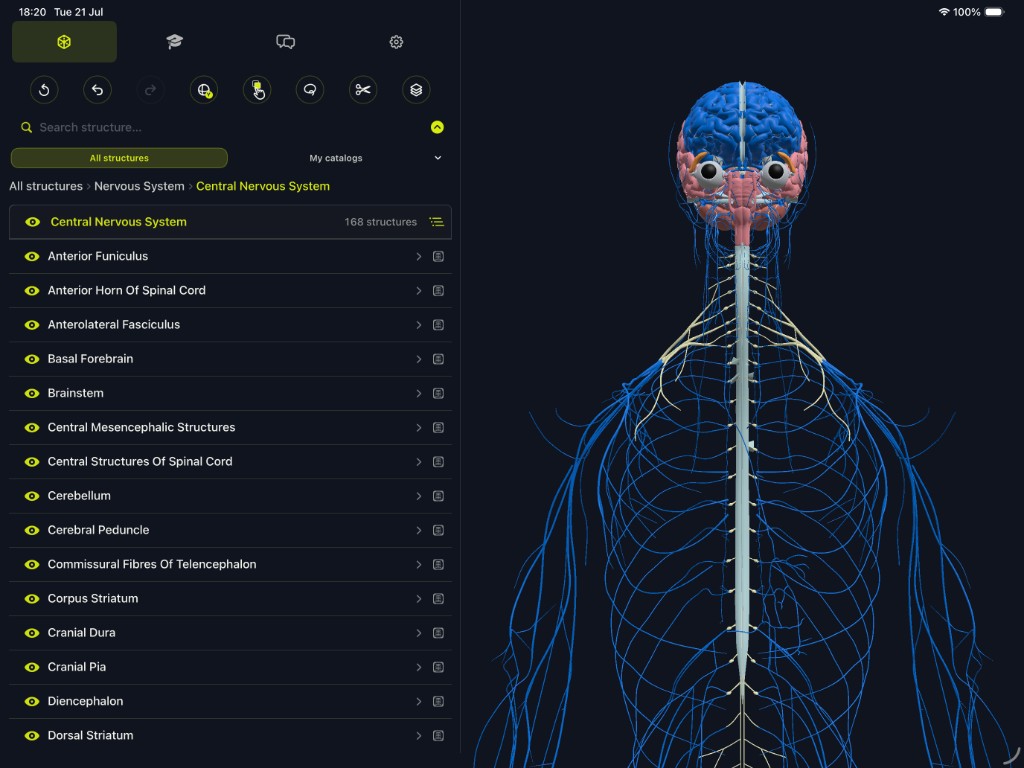 iPad: Central nervous system catalog and detailed 3D nerve model