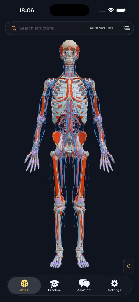 AnatomyVerse Atlas on iPhone — full-body 3D model with skeletal, muscular, and vascular systems