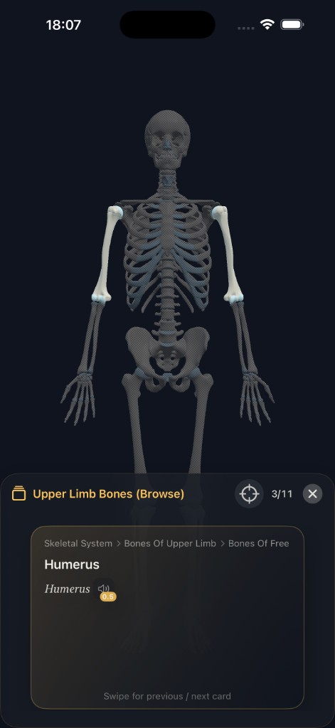 iPhone: Practice browse mode highlighting the humerus with Latin name and pronunciation control