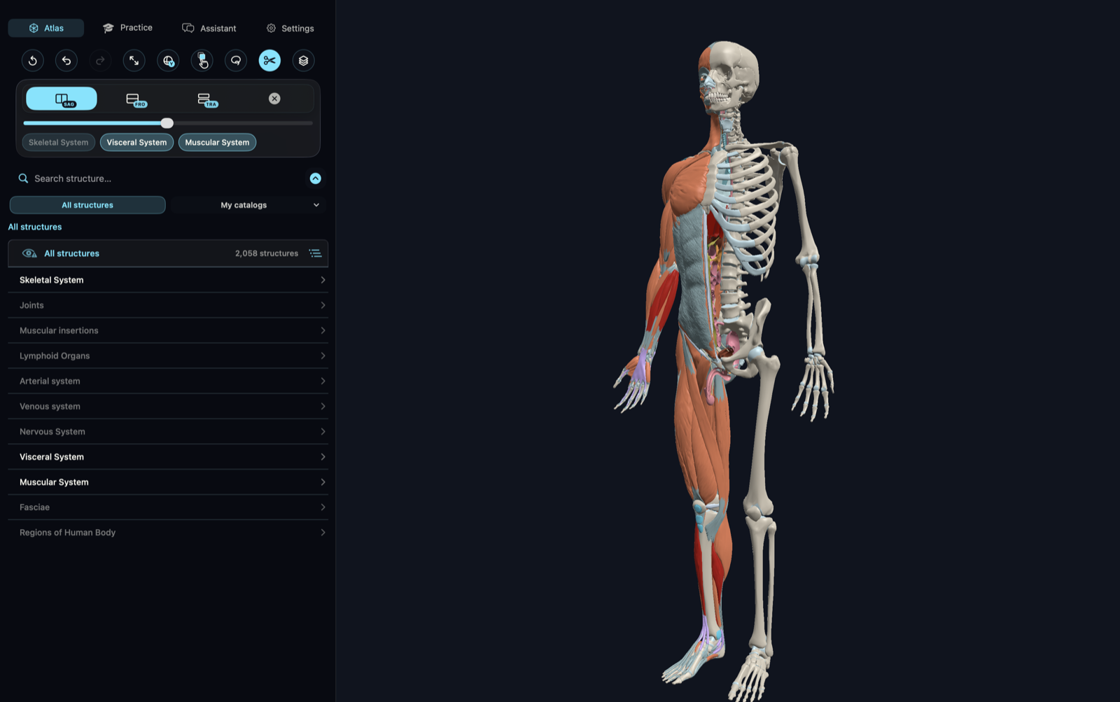 Mac Atlas with hierarchy sidebar and multi-system 3D viewport
